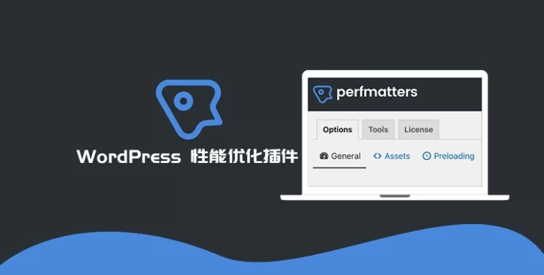 Perfmatters v2.4.7 汉化版 – 轻量级 WordPress 优化插件 - WP技术帮-WP技术帮