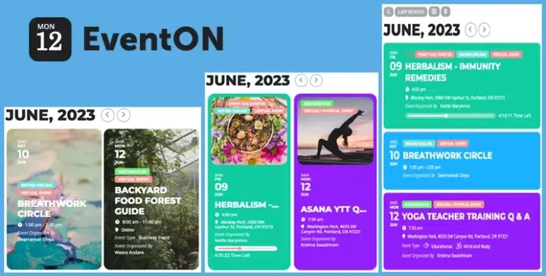 EventON v4.9.11 汉化版 – WordPress 活动日历插件 - WP技术帮-WP技术帮