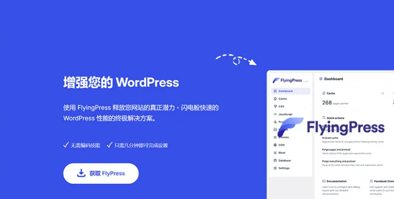 FlyingPress v5.0.7 – WordPress 一体化缓存与优化插件 - WP技术帮-WP技术帮