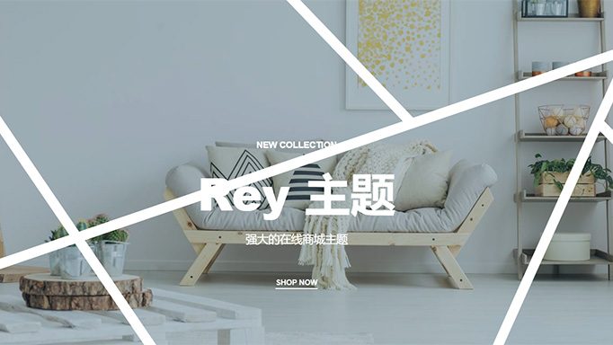 Rey v3.1.6 汉化版 – 艺术品、服装或家具店 WooCommerce 主题 - WP技术帮-WP技术帮