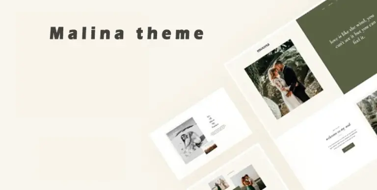 Malina v2.4.1 – 小巧精美的WordPress博客主题 - WP技术帮-WP技术帮